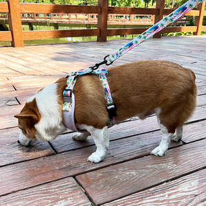 时尚奢华设计师可逆套装狗背带定制狗手帕宠物项圈个性化无拉氯丁橡胶狗Har套装 - Product Image 3