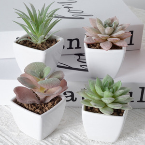 Plantas de bonsái suculentas artificiales, arbustos verdes falsos de plástico, Mini <span class=keywords><strong>Echeveria</strong></span> maceta, decoración de escritorio, macetas suculentas Nórdicas - Product Image 3