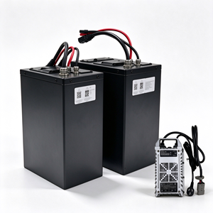 แบตเตอรี่ลิเธียมไอออน LiFePO4 60V 40Ah แบบกันน้ำ ทนทานต่อแรงกระแทก พร้อมระบบ BMS สำหรับมอเตอร์ไซค์วิบากไฟฟ้า (DIY) - Product Image 2
