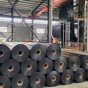 Chất lượng cao 2mm đen <span class=keywords><strong>HDPE</strong></span> geomembrane lót cho ao cá - Product Image 1