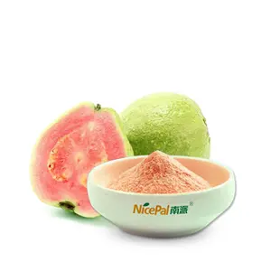 Natural kosher/halal certified concentrated Red Guava Juice Powder rich in dietary fiber for smoothies milk shakes yogurt