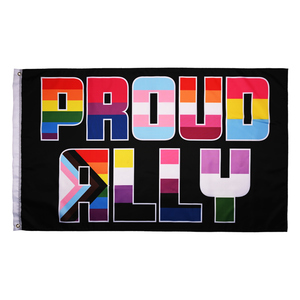 China Venta al por mayor Impresión de doble cara Lgbtq Lesbiana Homosexual Bisexual Arco Iris Bandera Pansexualidad Transgénero Lgbt Orgullo gay - Product Image 1