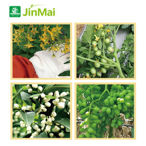 Amminoacido Oligopeptide B Zn biostimolante ad alta efficienza crescita delle piante fertilizzante liquido <span class=keywords><strong>per</strong></span> la fioritura e la frutta - Product Image 5