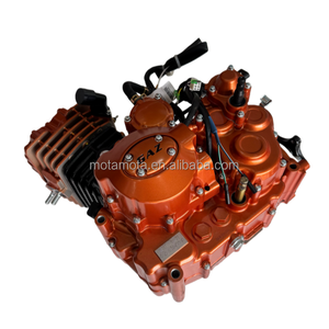 Hỗ trợ tùy biến chất lượng cao Nhà Máy Giá 300cc làm mát bằng nước trung tâm trục động cơ ba bánh động cơ lắp ráp WH174MN-3B - Product Image 6