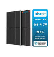 Panneau solaire Trina Solar TSM-NEG21C.20 300W-600W demi-cellule PERC bifacial BIPV double vitrage tout noir 22,5 % d'efficacité directement de l'usine