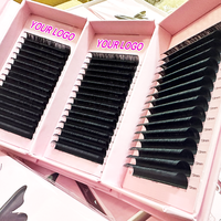 Extensions de cils personnalisées en gros, plateaux d'extensions de cils en soie douce de qualité supérieure, extensions de cils volume noir super mat en velours cachemire