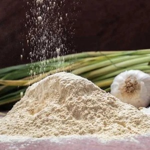 Ajo Deshidratado Premium en Polvo para Procesamiento de Alimentos, Suministro al por Mayor y Exportación Global - Product Image 4