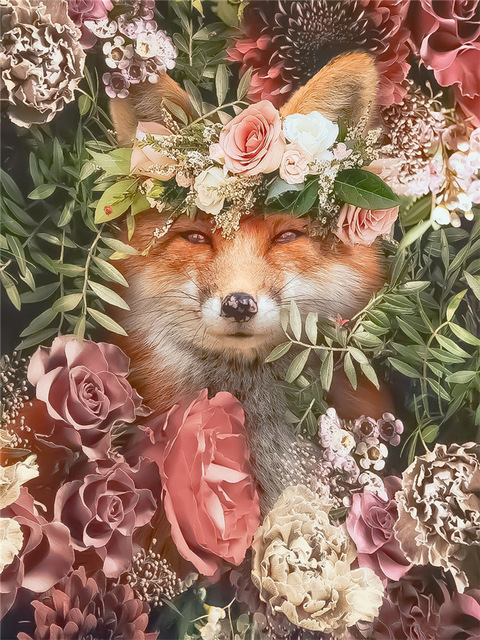 8085 Renard parmi les fleurs - Partie trois