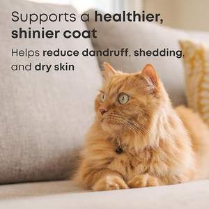 Olio di Pesce Omega 3 Liquido OEM/ODM da Pesca Selvatica per Cani <span class=keywords><strong>e</strong></span> Gatti - EPA DHA Vitamina <span class=keywords><strong>E</strong></span> per la Salute di Pelle, Pelo, Articolazioni <span class=keywords><strong>e</strong></span> Sistema Immunitario - Product Image 2