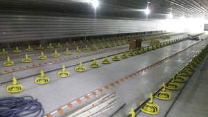 สัตว์ปีกไก่สำเร็จรูปบ้านโครงสร้างเหล็กอัตโนมัติอย่างเต็มที่อุปกรณ์การทำฟาร์มไก่ - Product Image 5