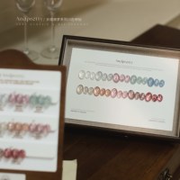 ANDPRETTY – Kit de gel à ongles effet diamant brisé, 10 couleurs, style français, emballage en flacon, haute qualité, non toxique, gel UV pour usage professionnel en salon