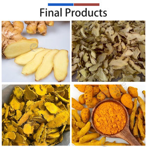 1T/H Customized Turmeric Ginger <b>Processing</b> <b>Line</b> 304 Stainless Steel Large Capacity Pump Washing Peeling Blanching Cutting - Product Image 5