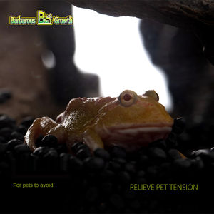 Barbaarse Bg Groei Szdb 001 Verbergen Schildpad Hagedis Reptiel Snake Huisdier Hars Veiligheid Verborgen Ontwijken Gat Verbergen Cave - Product Image 5