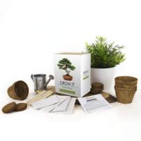 Cadeau de marque république cultiver votre propre culture intérieure kits bonsaï arbres ensemble plante en pot bonsaï en plastique pour la décoration