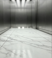 Ascensore Passeggeri Fareo Moderno in Acciaio Inossidabile Senza Ingranaggi, a Trazione CA, Durevole, Sicuro, Facile Installazione e Funzionamento, per Appartamenti e Centri Commerciali