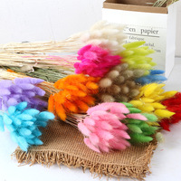 Herbe de queue de lapin séchée - Bouquets de fleurs naturelles préservées pour accessoires photo, décoration de mariage et événements (30/60 pièces)
