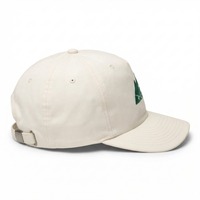 Casquettes personnalisées OEM avec logo brodé, 5 panneaux, en nylon imperméable, non structurées, à fermeture snapback, pour la course à pied