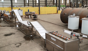 Dây chuyền sản xuất cà rốt xay nhuyễn Chất lượng cao để xử lý hiệu quả, tự động và vệ sinh - Product Image 2