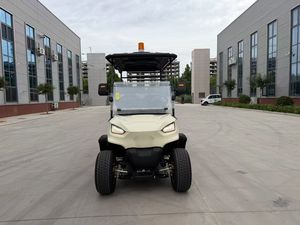 Voiturette de golf électrique à économie d'énergie, personnalisable en couleur, pour club de golf, confort de conduite optimal pour parcours de golf - Product Image 6