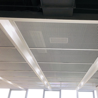 Plaques de plafond pour salles, design de plafond de restaurant, panneaux de plafond de garage, panneaux de plafond en aluminium pour opéra, panneaux de façade extérieure