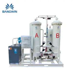 BW Psa O2 Plant Oxygen Plant Industrial Oxygen Generator for Combustion