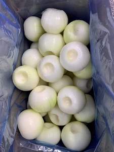 Gepelde ui, helemaal in de koudeketen verwerkt, vacuüm verpakt om de versheid te behouden en de originele uiensmaak te behouden. - Product Image 5