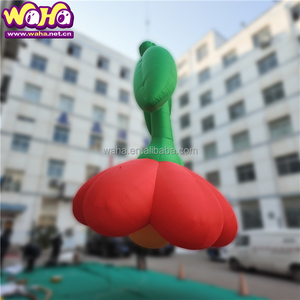 <span class=keywords><strong>WAHA</strong></span>-Sandía inflable para decoración de eventos - Product Image 3