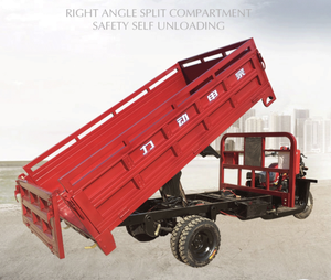 Nuevo Camión de Carga con Doble Volquete, 5 Ruedas, Neumáticos de 12'', Motocicleta Triciclo de 200cc-300cc Refrigerada por Agua para Transporte de Mercancías - Product Image 2