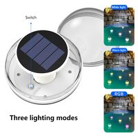 Lampes flottantes d'extérieur 22LED Lumière solaire pour piscine Blanc/Chaud/RGB Polysilicium IP65 Décoration de piscine Lanternes de nuit
