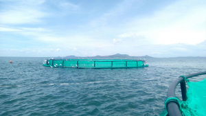 Gabbie per pesci galleggianti in HDPE per l'acquacoltura di pesci - Product Image 3