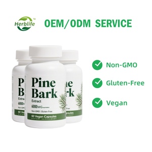 Complément d'extrait d'écorce de pin en gros, capsules d'écorce de pin sans gluten, soutien antioxydant - Product Image 2
