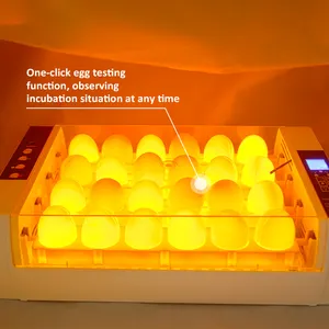 卵テスター付き自動ミニ卵インキュベーター24鶏卵孵化機