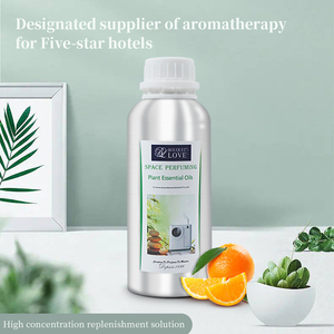 250ml siêu âm tinh dầu khuếch tán dùng một lần khách sạn làm mát không khí cho nhà sử dụng giá rẻ bơm lại chất lỏng hương liệu - Product Image 3