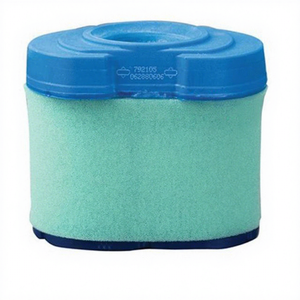 Filtro de Aire y Aceite para Motor Briggs & Stratton V-Twin Els 5405K, Protección de Plantas, Nuevo, Empaquetado Personalizado - Product Image 1