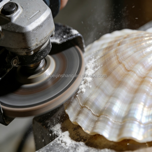 Conchiglie Bianche Naturali Grezze Direttamente dalla Fabbrica, Dipinte a Mano, Forniture per Progetti Artistici Fai-da-Te per Bambini, Conchiglie Piatte in Grandi Quantità - Product Image 5