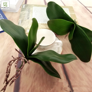 Оптовая продажа, большие искусственные листья орхидеи-бабочки, на ощупь для украшения цветов орхидеи - Product Image 3