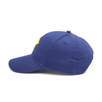 Casquette de baseball 6 panneaux personnalisée pour homme de haute qualité, imperméable avec trous, logo brodé sur mesure, casquette de sport tendance
