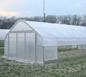 Low Cost High Strength Hot Galvanized Frame Single Span Agricultural Greenhouse For Malaysia Market Hot Sale Greenhouse