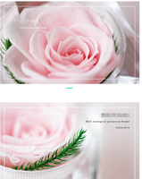 Boîte à bijoux transparente en forme de rose, prête à offrir à des amis, des amoureux ou pour les fêtes ; boîte cadeau en acrylique avec rose préservée