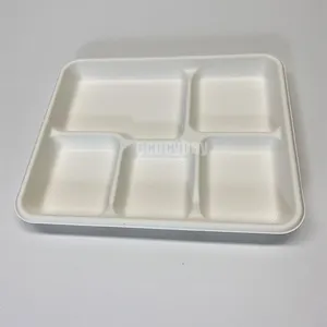 Bodeetgradable חד פעמי מחזור 5 תא כלי אוכל מגשי מגש bagasse