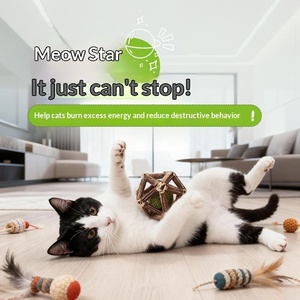 Jouet <span class=keywords><strong>pour</strong></span> <span class=keywords><strong>chat</strong></span> Lingle Ball en gros OEM, jouet à <span class=keywords><strong>chat</strong></span> à la catnip et à la <span class=keywords><strong>valériane</strong></span>, jouet à mâcher Lingle Ball, friandises <span class=keywords><strong>pour</strong></span> <span class=keywords><strong>chat</strong></span>, friandises <span class=keywords><strong>pour</strong></span> animaux de compagnie - Product Image 5