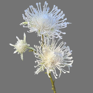 Fleur artificielle Leucospermum à 3 têtes, 68 cm <span class=keywords><strong>de</strong></span> long, tête <span class=keywords><strong>de</strong></span> 12 cm, toucher réel, pour décoration <span class=keywords><strong>de</strong></span> mariage, hôtel, maison et usage commercial (vente en gros) - Product Image 2