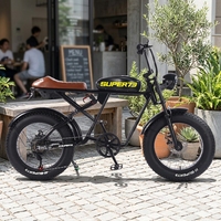 Vélo de montagne électrique avec moteur à moyeu arrière personnalisé, batterie au lithium 48V, autonomie de 65 km, frein à disque double, cadre en acier à haute teneur en carbone