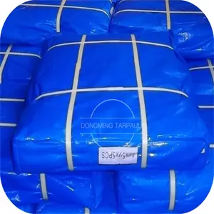 Linyi Fabriek Groothandel Waterdicht Plastic Zeil 4X5 Meter Korea Zeildoek Luifel Pe Zeildoek Blauw Wit