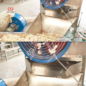 Máquina Peladora de Ajo Comercial Totalmente Automática, Línea de Procesamiento de Pelado de Ajo Completamente Automática - Product Image 5