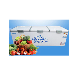Congeladores Horizontales de Gran Capacidad para Supermercados y Uso Doméstico - Product Image 4