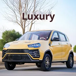 Nouveau scooter électrique miniature à quatre roues hybride pour personnes âgées 2025, moteur 1000W - Voiture à énergie nouvelle entièrement fermée pour adultes - Product Image 5