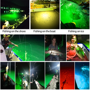 ไฟตกปลา LED IP68สีเขียวเหยื่อล่อสำหรับตกปลาใต้น้ำ DC12V ไฟกลางคืน - Product Image 2