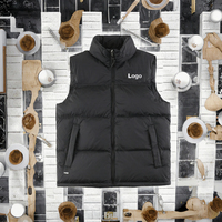 Gilet matelassé classique tendance 2025 pour l'hiver TNF – Vente flash pour hommes et femmes, style décontracté, logo personnalisé, veste sans manches de marque de créateur