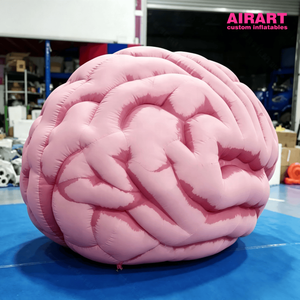 Modèle <span class=keywords><strong>de</strong></span> cerveau humain gonflable géant personnalisé 3M rose, simulation anatomique, accessoire pour <span class=keywords><strong>l</strong></span>'affichage éducatif dans les musées scientifiques - Product Image 3